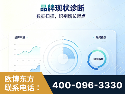 靖西-品牌现状诊断