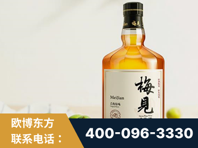 靖西-梅见青梅酒