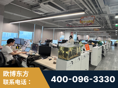 靖西-企业展示图